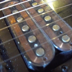 P1070921.JPG