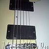 WP_000817.jpg