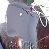 WP_000879.jpg