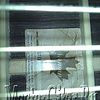 WP_000950.jpg