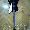 WP_002319.jpg