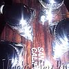 WP_006330.jpg