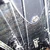 WP_006401.jpg