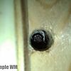 WP_007142.jpg
