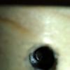 WP_007143.jpg