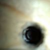 WP_007144.jpg