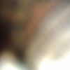 WP_007469.jpg