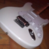 WP_007681.jpg