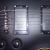 WP_007695.jpg