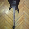 WP_007721.jpg