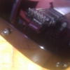 WP_007742.jpg