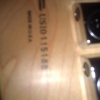 WP_007771.jpg