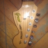 WP_007774.jpg