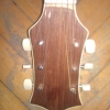 WP_007779.jpg