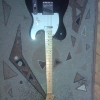 WP_007836.jpg