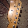 WP_007838.jpg
