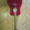 WP_007904.jpg