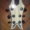 WP_007992.jpg