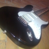 WP_008005.jpg