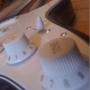 WP_008006.jpg