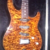 WP_008033.jpg