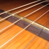 WP_008068.jpg