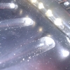WP_008090.jpg