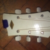 WP_008098.jpg
