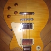 WP_008113.jpg