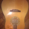 WP_008122.jpg