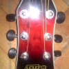 WP_008158.jpg