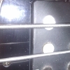 WP_008169.jpg