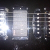 WP_008179.jpg
