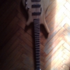 WP_008208.jpg