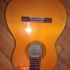 WP_008244.jpg