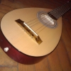 WP_008257.jpg