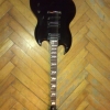 WP_008259.jpg