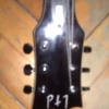WP_008261.jpg