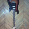 WP_008266.jpg