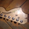 WP_008268.jpg