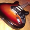 WP_008269.jpg