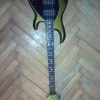 WP_008324.jpg