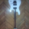 WP_008349.jpg