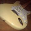 WP_008447.jpg