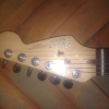 WP_008496.jpg