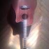 WP_008499.jpg