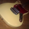 WP_008529.jpg