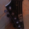 WP_008570.jpg