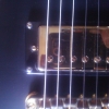 WP_008696.jpg
