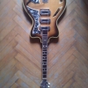 WP_008709.jpg